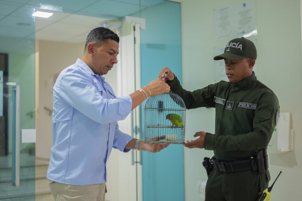 Corpoguajira y la Policía rescatan aves que estaban en cautiverio