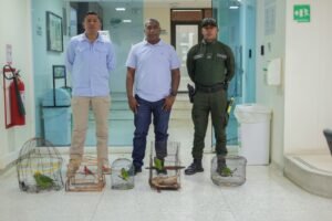 Corpoguajira y la Policía rescatan aves que estaban en cautiverio