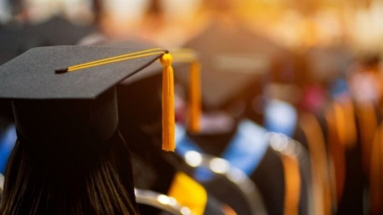 Entre título académico y experiencia laboral, prevalece el saber