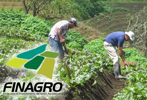 FINAGRO