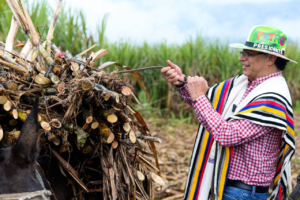 La Reforma Agraria de Petro