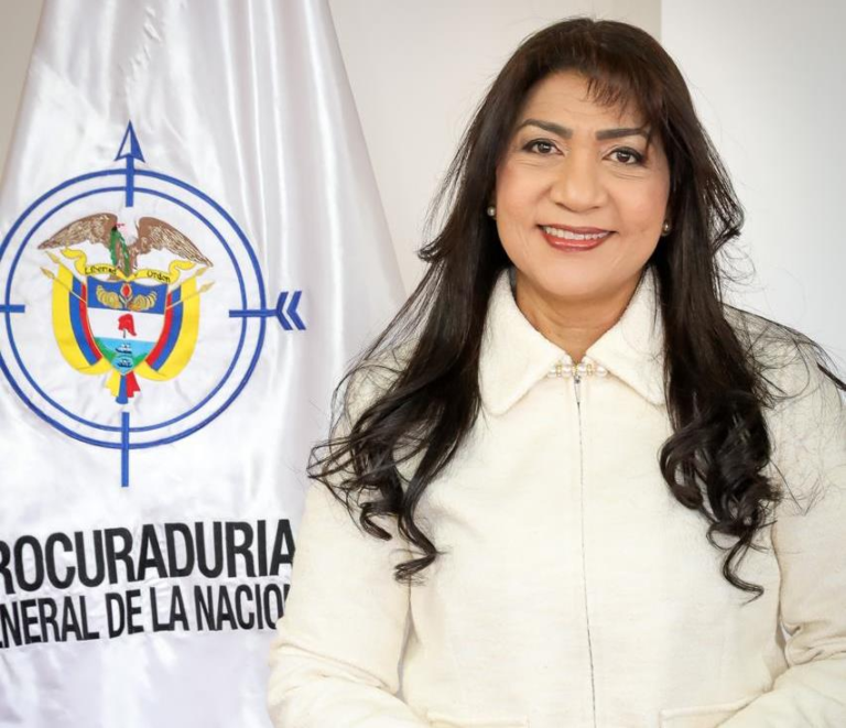 Yolima Carrillo, procuradora delegada ante asuntos electorales