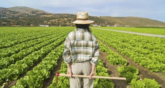 Sin política agrícola