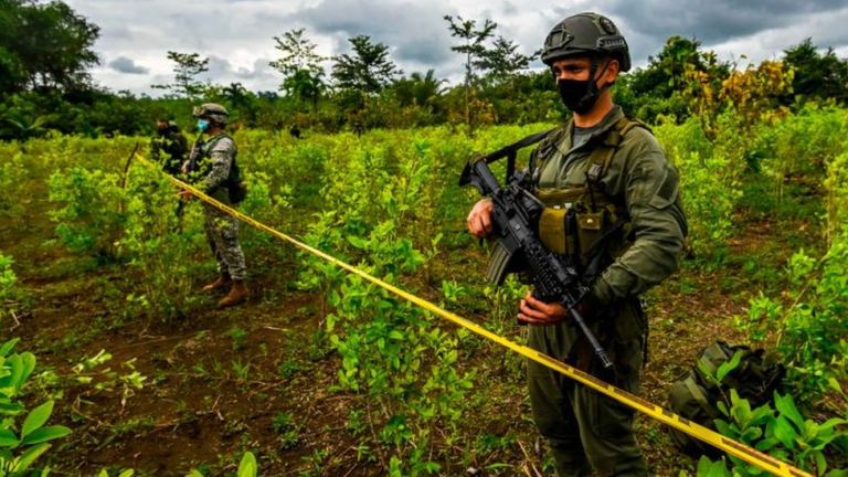 Narcotráfico: economía de muerte, fracaso global y obstáculo para la paz