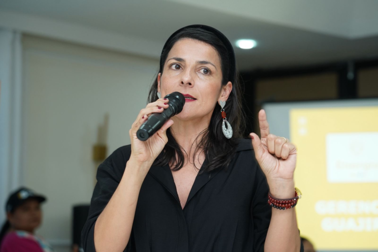 Directora de la ANLA, Irene Vélez,