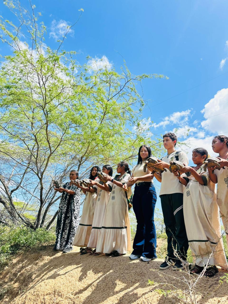 Corpoguajira junto a estudiantes del Centro Etnoeducativo de la comunidad de Guaymaral liberaron 63 animales