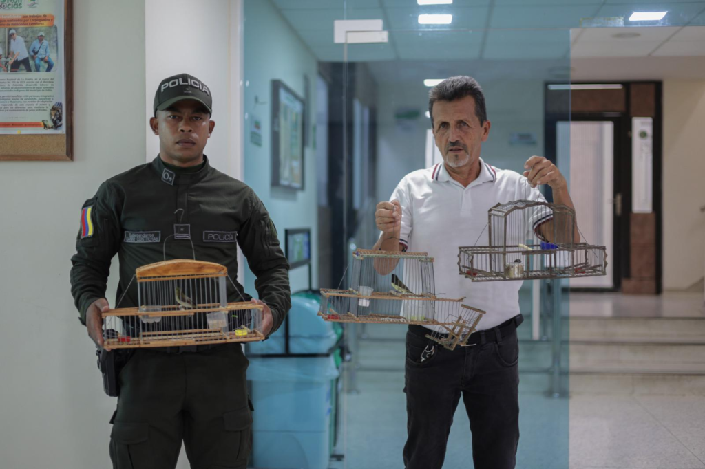 Corpoguajira y Policía Nacional rescatan aves silvestres en cautiverio en Dibulla