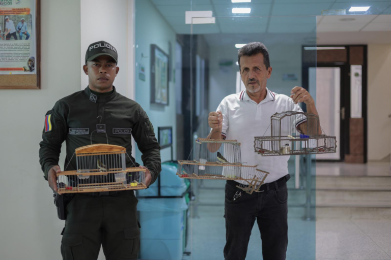 Corpoguajira y Policía Nacional rescatan aves silvestres en cautiverio en Dibulla