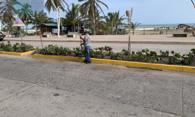 Impulsan cultura ambiental en la Avenida Primera de Riohacha