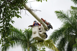 Trabajos de mantenimiento preventivo en Dibulla y Maicao