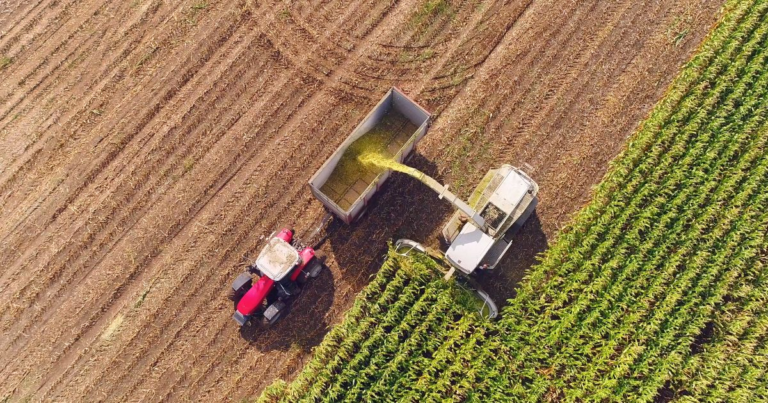 Los subsidios agrícolas