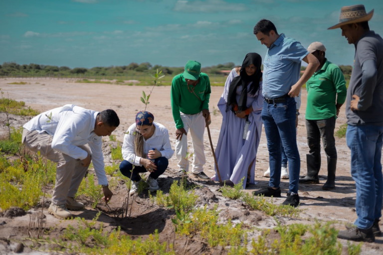 Corpoguajira realiza evaluación del Proyecto de Restauración de Manglares en el DRMI Delta del Río Ranchería