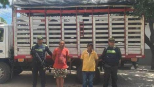Capturan en zona rural de San Juan del Cesar a dos hombres por presunto robo de ganado