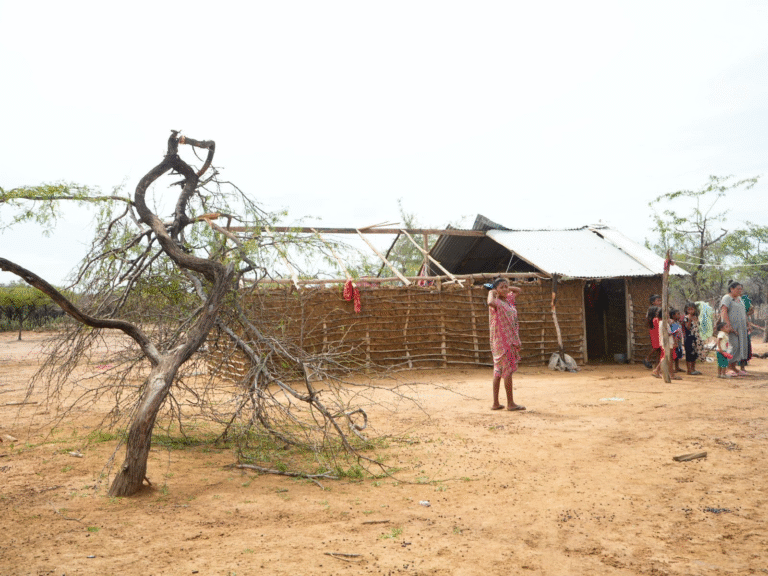 La ONG Nación Wayuu eleva acción urgente para atender a comunidad de Jaturruy devastada por vendaval