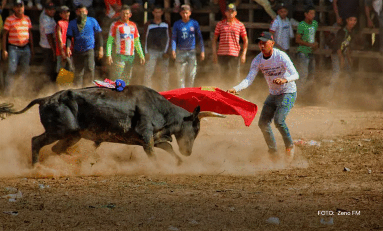 En galleras, corralejas y coleos, quedó prohibido jugar