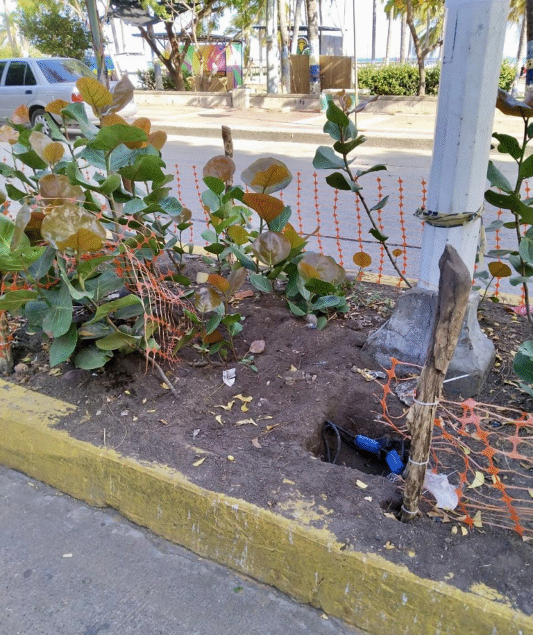 Corpoguajira rechaza actos de vandalismo contra proyecto de embellecimiento en la Avenida Primera de Riohacha