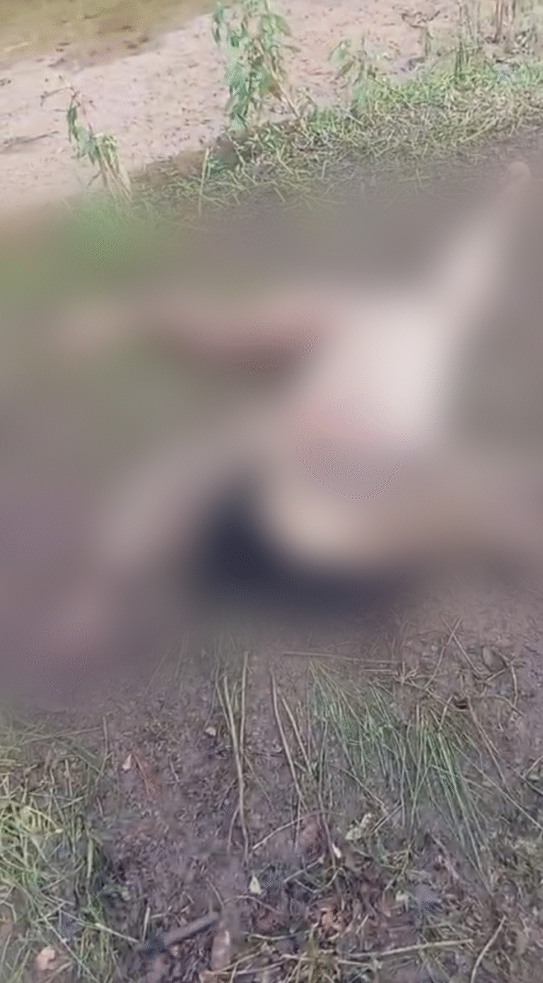 Hallan cuerpo sin vida en el río Cañas, en zona rural de Dibulla