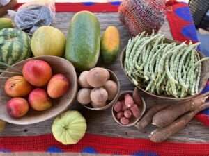 En el Mes Mundial de la Alimentación, la seguridad alimentaria se fortalece desde las prácticas agroecológicas en La Guajira