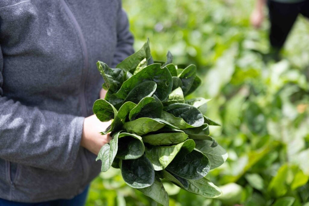 En el Mes Mundial de la Alimentación, la seguridad alimentaria se fortalece desde las prácticas agroecológicas en La Guajira