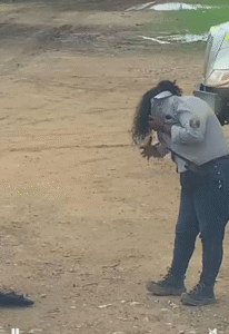 Mujer vivió angustioso momento cuando fue atacada por un enjambre de abejas en la vía a Puerto Bolívar