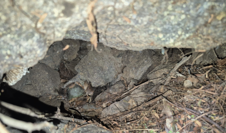 Ejército destruyó tres municiones del Clan del Golfo en el sur de La Guajira