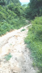 Campesino murió tras ingerir veneno en zona rural de Riohacha