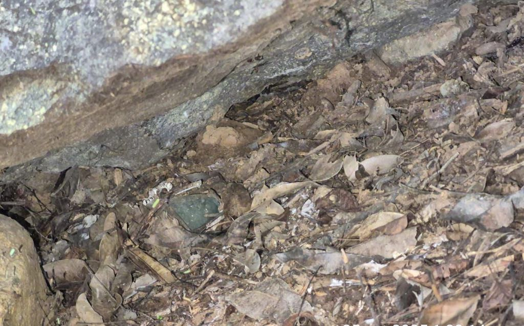 Soldados hallaron y destruyeron tres granadas en zona rural del municipio de Distracción