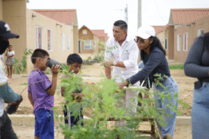 Corpoguajira lidera jornada de siembra de árboles en Manaure