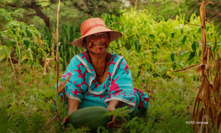 La Guajira: entre la sociedad del cansancio y la posibilidad de una agroindustria transformadora