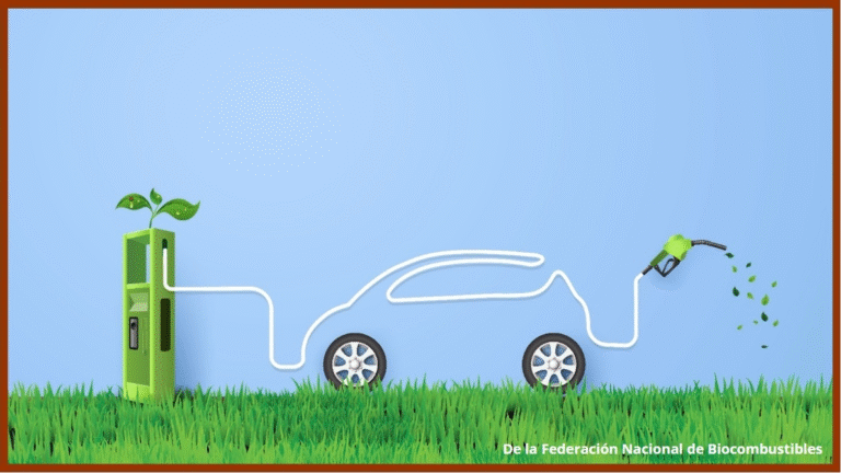 ¡S.O.S por los biocombustibles!