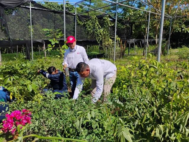 Corpoguajira da inicio a las jornadas de siembra con motivo del día mundial del árbol