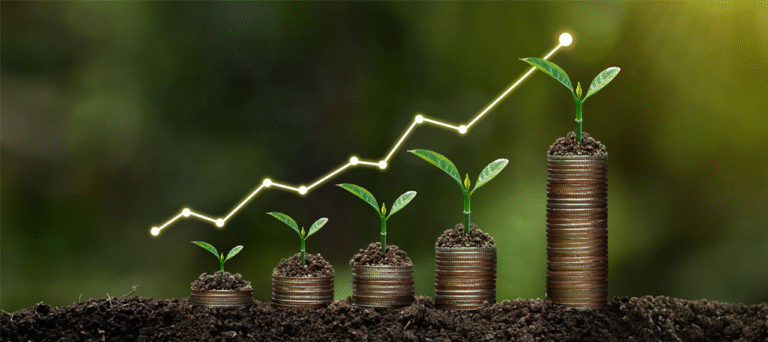 Un agronegocio rentable