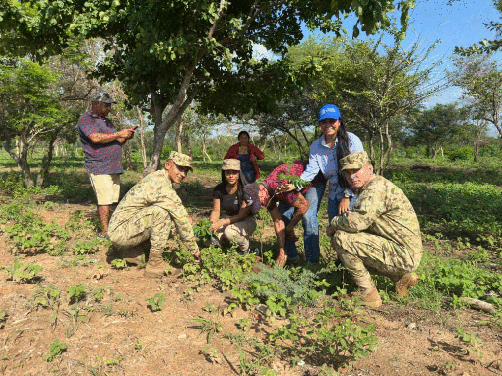 Corpoguajira y el Ejército sembraron 1.000 árboles en Maicao