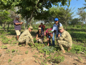 Corpoguajira y el Ejército sembraron 1.000 árboles en Maicao