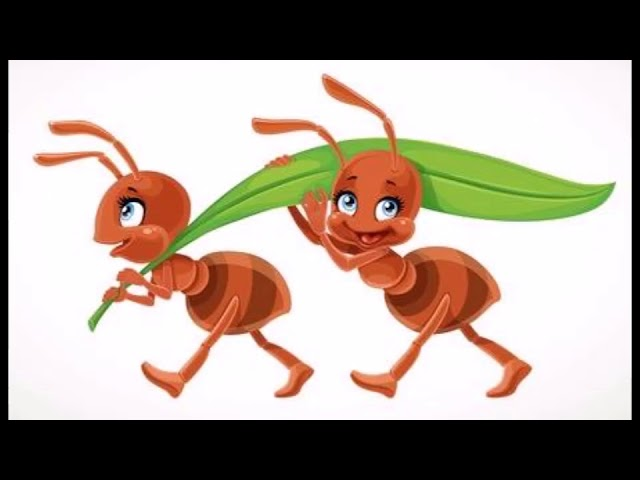 LA SABIDURÍA DE LA PARÁBOLA