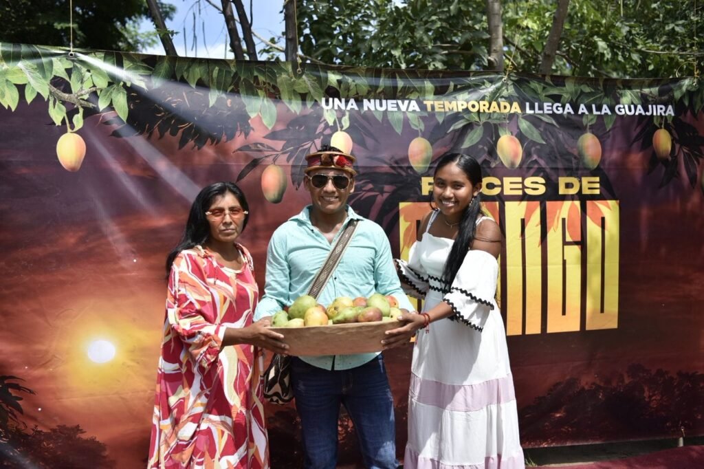 Nace ‘Raíces de Mango’, una producción agrícola de nueve comunidades guajiras, Postobón, su Fundación y Cerrejón