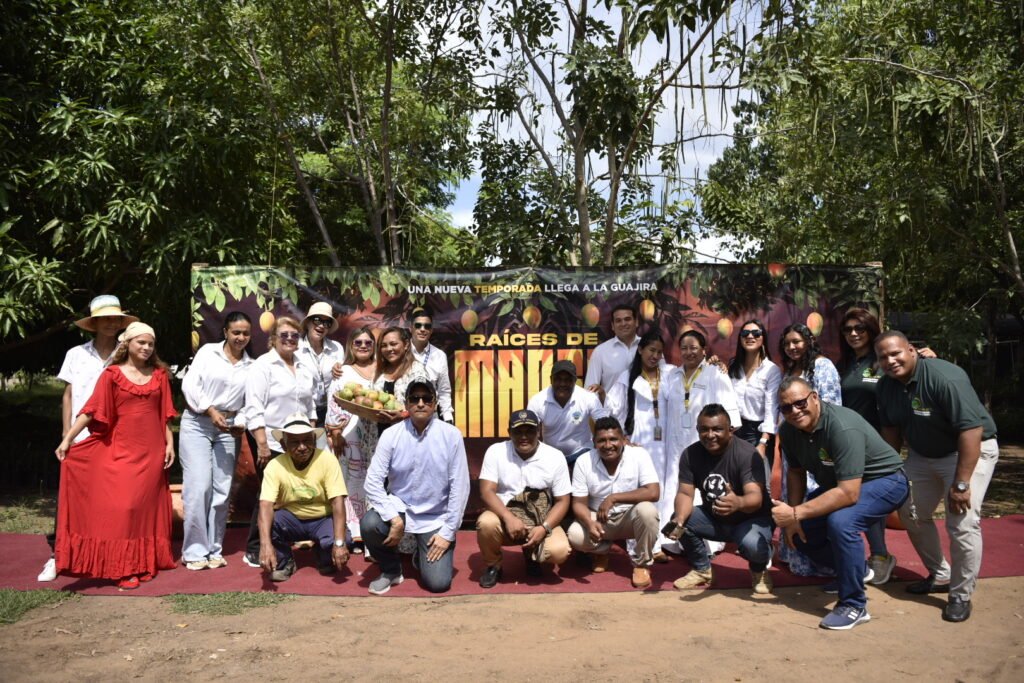 Nace ‘Raíces de Mango’, una producción agrícola de nueve comunidades guajiras, Postobón, su Fundación y Cerrejón