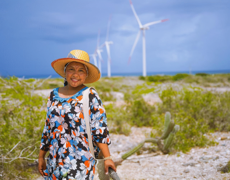 Colombia lanza la Licencia Ambiental Eólica con Diseño Optimizado (LAEólica)