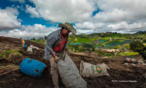 LA JURISDICCIÓN AGRARIA… OTRA VEZ